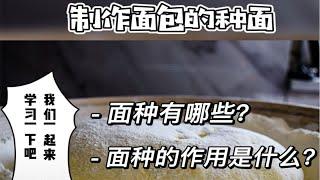 烘焙知识总结｜面包配方中的那些种面是什么