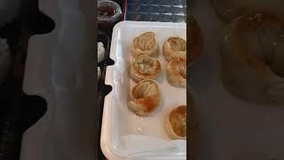 Sushi and pan fried dumplings