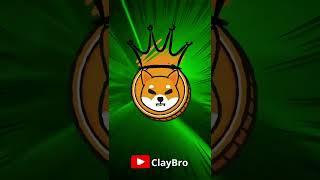 Shiba Inu Coin Dip Buy Opportunity! #crypto #cryptocurrency #shib #shiba