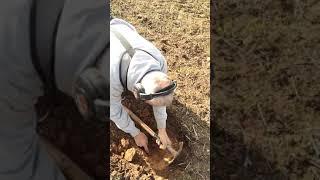 Minelab GPX5000 | Glenn finds big gold nugget in Maryborough!! | Victorian Gold Detecting