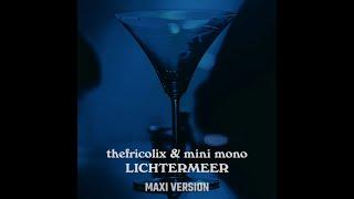 thefricolix & mini mono - Lichtermeer (Maxi Version)