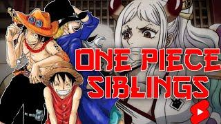 Siblings in One Piece | Otaku Shorts