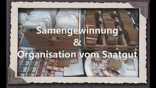 Samengewinnung & Organisation vom Saatgut