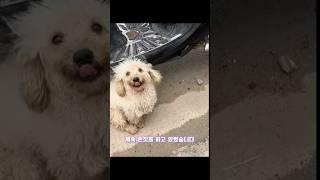 멀리서 달려온 이유
