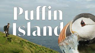 Puffin Island: Wildlife Photography | In the Field with Donal Boyd