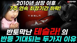 2010년 상장 이후 7주 연속 최장기간 하락! 고점 대비 반토막난 눈물의 테슬라! 하지만 반등이 기대되는 두 가지 이유는?