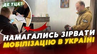 ️Зривали МОБІЛІЗАЦІЮ ️на Волині СБУ затримала ДЕСЯТЬОХ зловмисників