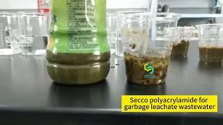 Secco polyacrylamide PAM for garbage leachate wastewater treatment chemicals