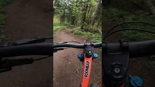 Yoooo this new Washington MTB park is dope! #mtb #pov #pnw #gopro