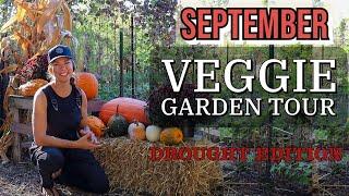 September Vegetable Garden Tour- Ohio 2024