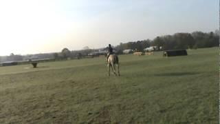 Snowy Schooling Cross Country 2