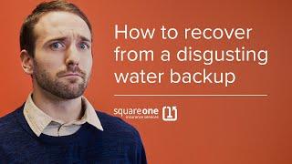 What to Do after a Gross Sewer Backup Occurs in Your Home