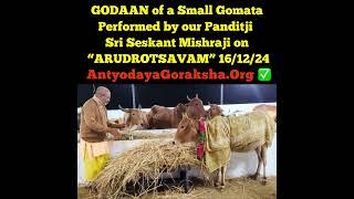 [16 Dec 2024] Godaan on Arudrotsavam Yesterday