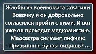 Вовочка Добровольно Проходит Медицинскую Комиссию! Сборник Анекдотов Синего Предела №197