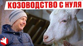 Козоводство как бизнес | Путь от 2 до 200 коз | КУЛЬТИВАТОР