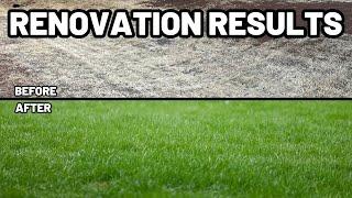 Lawn Renovation: A Beginner's Guide and Lessons Learned