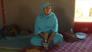 Dans un camp de Sahraouis, des réfugiés rêvent de leur terre