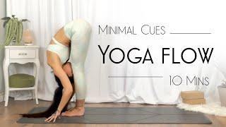 10 Minute Yoga Sun Salutation Flow (Intermediate Yoga with Minimal Cues