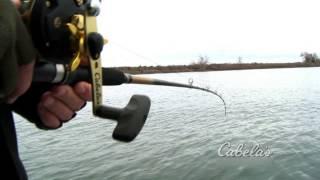 Cabela's DepthMaster Trolling Rods