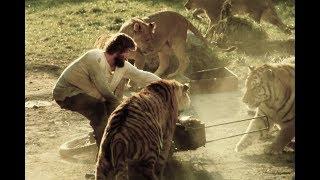 Roar: A Movie Made with 150 Untrained Lions and Tigers