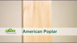 American Poplar / Tulipwood Timber | Timbersource