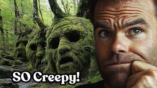 Creepiest Forests That Rewrite Earth’s History #discovery