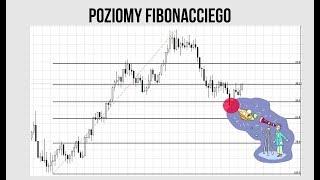 Poziomy Fibonacciego (Fibo) | #49 Kurs Analizy Technicznej