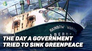 The tragedy that turned Greenpeace into a big organization