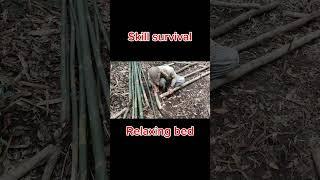 Skill survival | Relaxing bed | Lendi TV #shorts #short #shortvideo