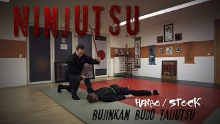 Ninja & Samurai Training #6 || Hanbo / Halber Stock || Bujinkan Dojo Deggendorf