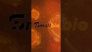 SmallBio Profissional para Bio do Instagram!