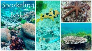 Snorkeling Bali 2024 (HD) Nusa Dua & Padang Bai