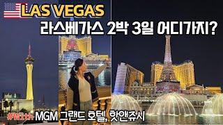  LAS VEGAS 어디갈지 고민이라면? 가성비 주차 방법 | LAS VEGAS 호텔추천/MGM GRAND HOTEL/핫앤쥬시/벨라지오 분수쇼(미국 EP5) LA여행