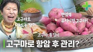 항암 후 관리! 고구마로 관리했다?