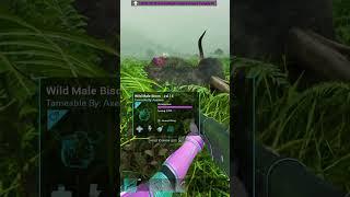 HOW TO TAME The New Bison #Ark #ArkAscended