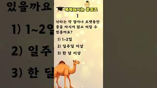 [상식퀴즈 - 12] 점점 똑똑해지는 상식퀴즈 문제, 상식 키우기, 지식퀴즈, 일반상식