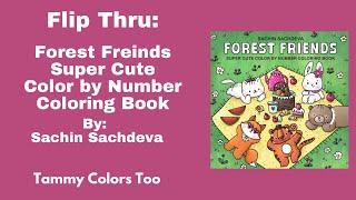 New Release!  Flip Thru: Forest Friends Super Cute Color by Number Coloring Book by Sachin Sachdeva