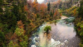 Fliegenfischen auf Herbstäschen in Österreich | Essen am Wasser | Indicator-Nymphing