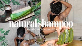 Natural Shampoo | Maximize Growth & Prevent Hair Loss | DIY Aloe Vera Natural Hair Product ep. 1