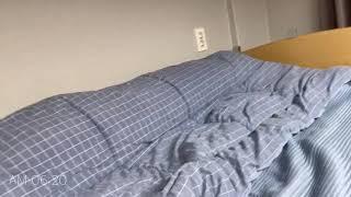 [대구외고 홍보영상] TODAY