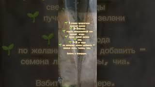 Рецепт зеленого напитка. Дикоросы.
