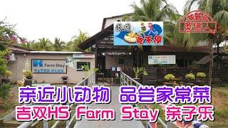 ◤旅游吃不停◢ 亲近小动物 品尝家常菜 吉双HS Farm Stay 亲子乐