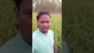 Phool Maangu Na Bahaar Maangu #Short#Viral#Youtube#ADIVASI LOCAL VILLAGE VLOG @Pitabasasing208