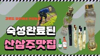 산삼주 숙성기간 및 산양산삼주판매하는곳 산삼주가격