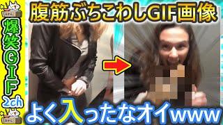 【笑ったら寝ろ】カメラが捉えたおもしろGIF動画 2ch