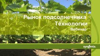 Вебинар: Рынок подсолнечника РФ, ЕС, СНГ. Технологии возделывания, посевные площади, урожайность