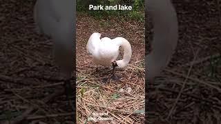 Kissena park and lake between 164th st and Kissena Blvd