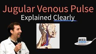 Jugular Venous Pulse (JVP) Explained Clearly - Evaluation, Waveforms, Interpretation