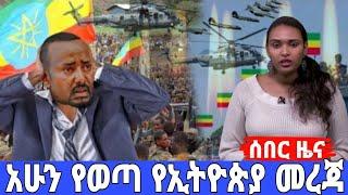 Breaking Ethiopia News NOW! | አሁን የደረሰን ሰበር መረጃ | ethiopia news 23 November 2024 #ethiopianews