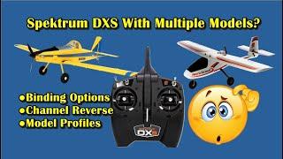 Spektrum DXS Radio Tutorial: Beginner How-To